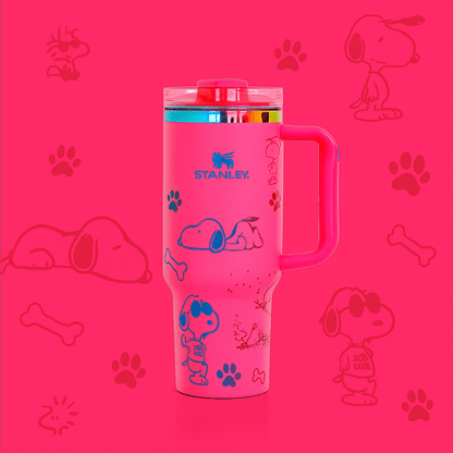 Snoopy Chill & Sip Tumbler